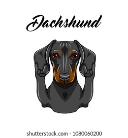 Dachshund dog. Rock gesture. Horns. Dog portrait. Vector illustration heavy metal hand linear style
