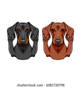 Dachshund dog set. Rock gesture, Horns. Pet portrait. Vector illustration.