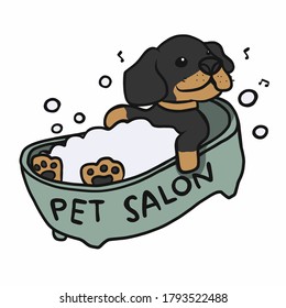 Dachshund dog showing in bathtub pet salon cartoon vector illustration