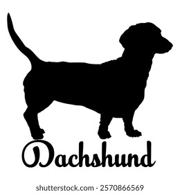 Dachshund. dog silhouette, dog breeds, logo, vector, silhouette,  animal, illustration, icon, sign, design, black, symbol, pet, love
