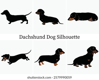 Dachshund dog Silhouette Bundle Design