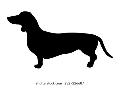 Silueta de perro de Dachshund aislada en un fondo blanco. Ilustración del vector