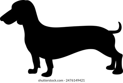 Dachshund dog  silhouette on white background. Vector Illustration.