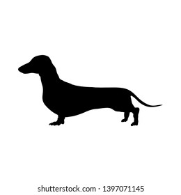 Dachshund Dog Silhouette. Smooth Vector Illustration.