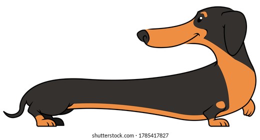Dachshund dog, single icon in cartoon style.Dachshund, vector symbol stock illustration web.