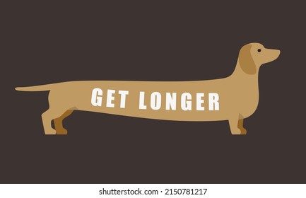 Dachshund, dog standing flat icon design, get longer