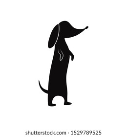 Dachshund dog standing on paws black silhouette icon flat vector illustration isolated on white background. German badger-dog or tackle puppy outline contour icon.