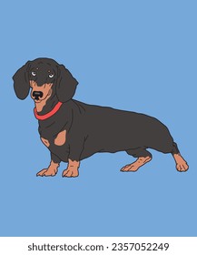 Dachshund Dog Standing Side View
