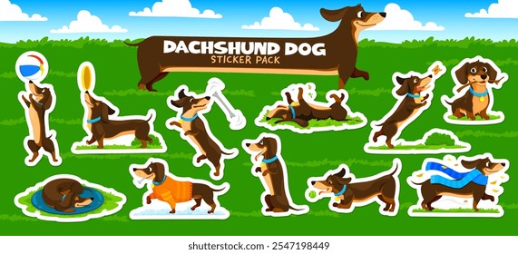 Pegatinas de perro Dachshund paquete de lindos animales de mascota cachorro jugando en el fondo de Vector de hierba verde del patio. Dibujos animados divertidos perros dachshund marrón negro jugando con pelota, hueso, palo de madera y juguetes