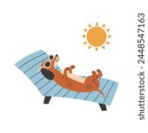 Dachshund dog in sunglasses sunbathing lying on sun lounger. Pet vacation. Beach summer leisure activity. Vector illustration with summertime animal