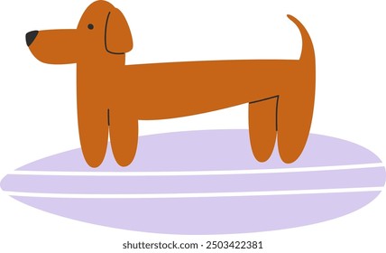 Dachshund Dog Surfer On Surfboard Vector Illustration