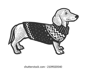 dachshund dog in sweater sketch engraving vector illustration. T-shirt apparel print design. Scratch board imitation. Black and white hand drawn image.