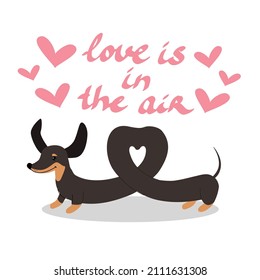 Dachshund dog is twisted in the shape of a heart. Vector illustration for valentine's day