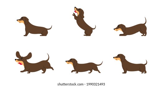 Dachshund dog various poses flat line graphic isolated