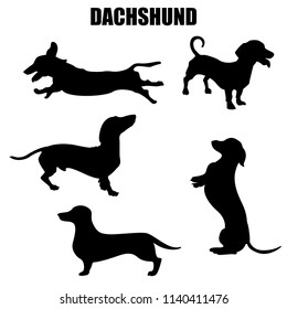 Dachshund dog vector icons and silhouettes. Set of illustrations in different poses.