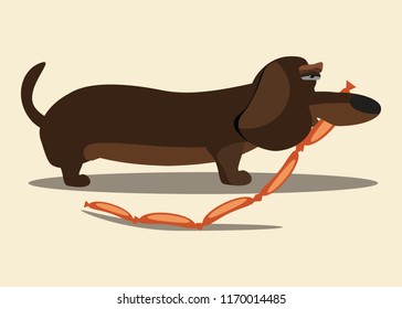 Dachshund dog vector illustration 