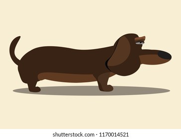 Dachshund dog vector illustration 