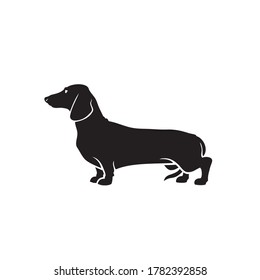 Dachshund dog - vector illustration
