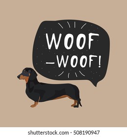 Dachshund dog vector illustration colorful with woof banner