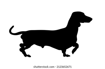 Ilustración de silueta vectorial de perro de Dachshund aislada en fondo blanco. Elegante mascota inteligente. Forma de mascota de amigos de familia.