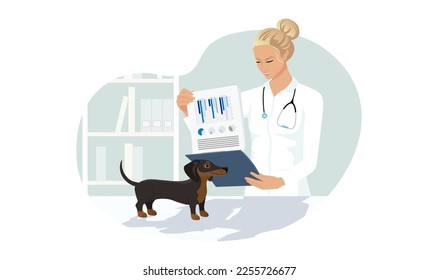 Dachshund dog at veterinary visit in medical clinic office. Black puppy not anxiety on therapy table at vet appointment of veterinarian young woman. Vector illustration isolated on white background