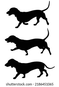 dachshund dog walk silhouettes - vector artwork