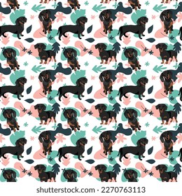 Dachshund dog wallpaper with leaves, palms, flowers, plants. Pastel green, pink, navy. Holiday abstract natural shapes. Seamless floral background with dogs, repeatable pattern. Birthday wallpaper. 