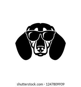 Dachshund dog wearing sunglasses - isolated vector illustration