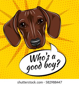 Dachshund dog. Who is a good boy. Vector illustration isolated on pop art background