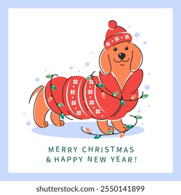 Dachshund dog in winter festive clothes and with a garland. Сute pet in jacket and hat. Vector illustration for greeting card Merry Christmas and Happy New Year. 