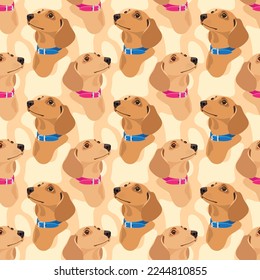 Dachshund dogs in blue and pink collars on a light background. Seamless pattern, print. Vector illustration
