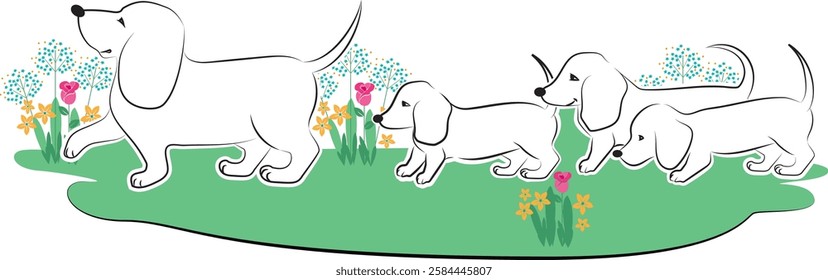 Dachshund dogs drawing vector image