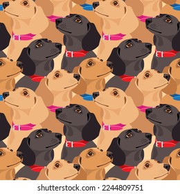 Dachshund dogs in multi-colored collars. Seamless pattern, print, background. Vector illustration