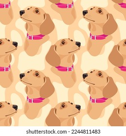 Dachshund dogs in pink collars on a light background. Seamless pattern, print. Vector illustration