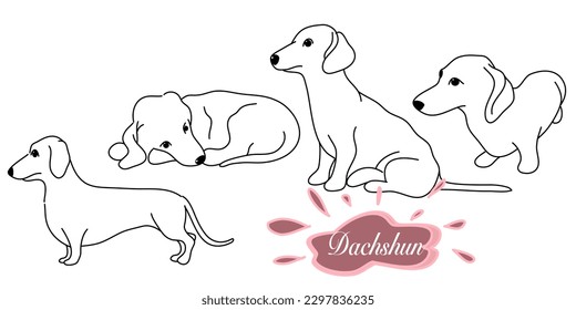 dachshund doodle illustration,dog poses,dog breed,dachshund in action