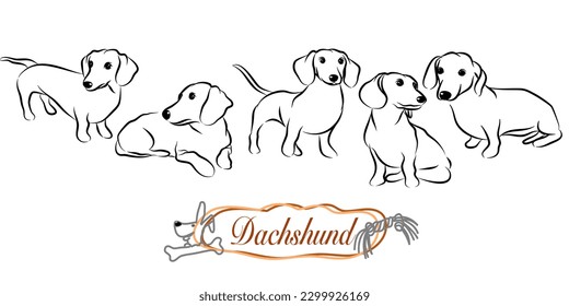 dachshund doodle illustration,dog poses,dog breed,dachshund in action