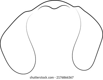 Dachshund ears hand draw style vector