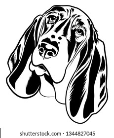 Dachshund face vector Illustration (Black and White)