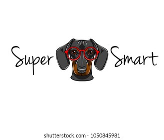 Dachshund geek. Dog in smart glasses. Super smart inscription. Vector illustration. Red eyeglasses.