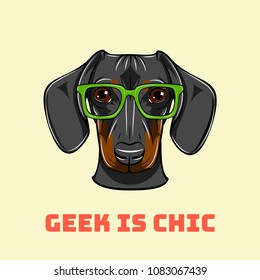 Dachshund geek. Smart glasses. Dog nerd. Geek is chic. Vector illustration