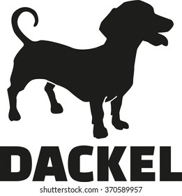 Dachshund with german breed name