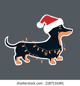 The dachshund got tangled up in a Christmas garland. Cute hand drawn sticker illustration.