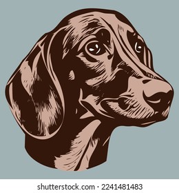 dachshund hand drawn cartoon picture line art vector drawing
