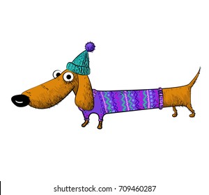 Dachshund hand drawn image. Original colorful artwork, comic childish style drawing.