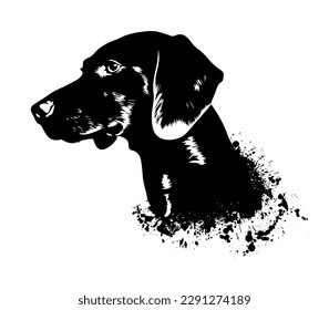 Dachshund head black graphics. Blobs of paint. Vector illustration