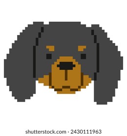 Dachshund Head Pixel 1 cute on a white background, vector illustration.