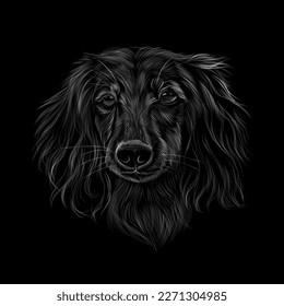 Dachshund head portrait on black background. Vector illustration of paints