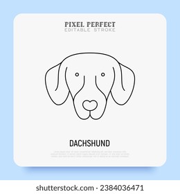 Dachshund head thin line icon. Dog breed. Editable stroke. Vector illustration.