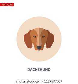 Dachshund head vector flat icon on turquoise circular background. It can be used as - logo, pictogram, icon, infographic element.