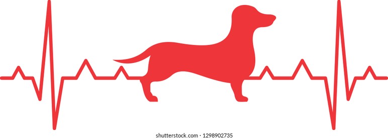 Dachshund heartbeat cardiogram